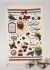 Рушник кухонний Shtamp 40x60 Berries-2