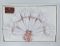 Скатертина KDK Set Maison Royale 160x350+12 psc White
